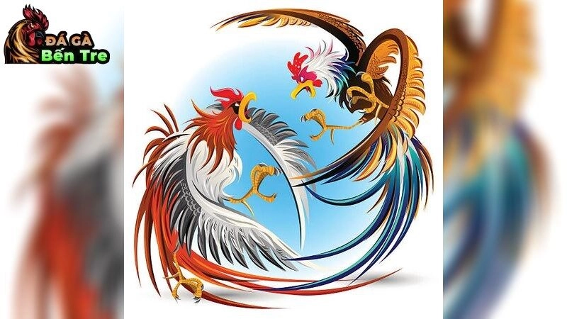 Gà đá bị sưng phù đầu – Nguyên nhân và cách chữa