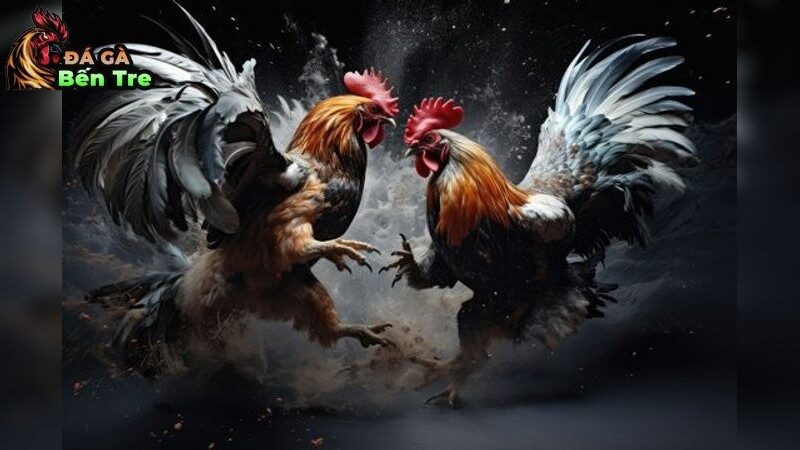 Kiến Thức Cơ Bản Về Nuôi Gà Đá