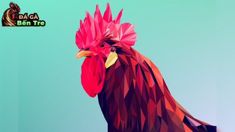 Phương pháp lựa chọn gà Kelso chất lượng