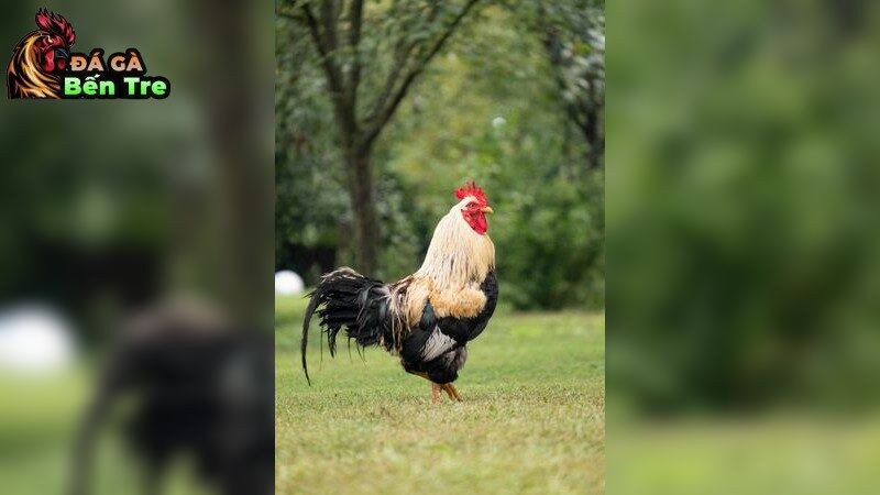 Thực hiện phòng ngừa bệnh truyền nhiễm