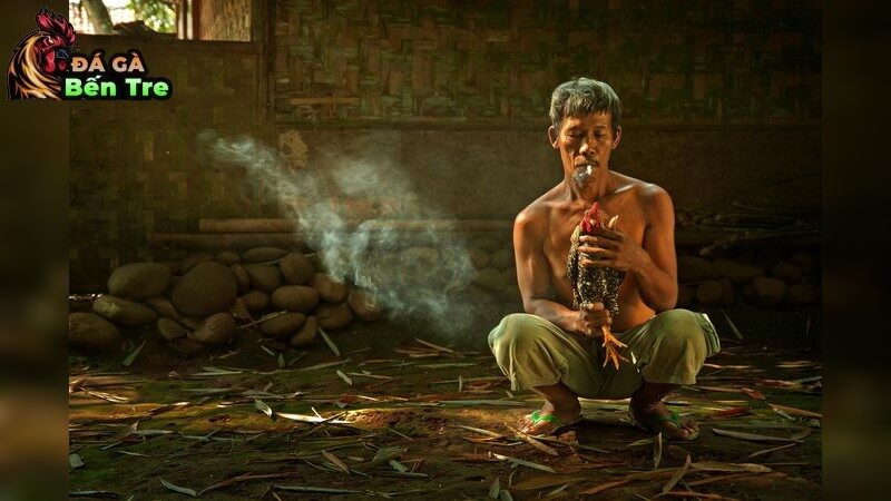 Tìm Hiểu Các Bệnh Thường Gặp Ở Gà Đá