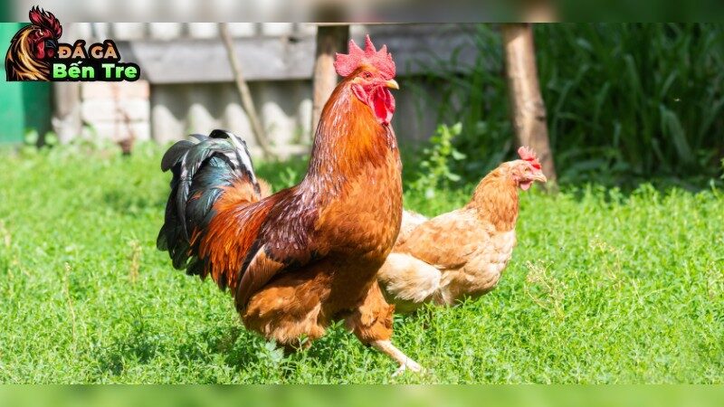 Ý Nghĩa Của Việc Thực Hiện Lịch Tiêm Phòng